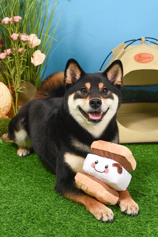 S'mores Dog Toy